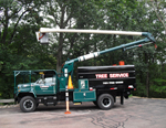 Tree service truck in MA